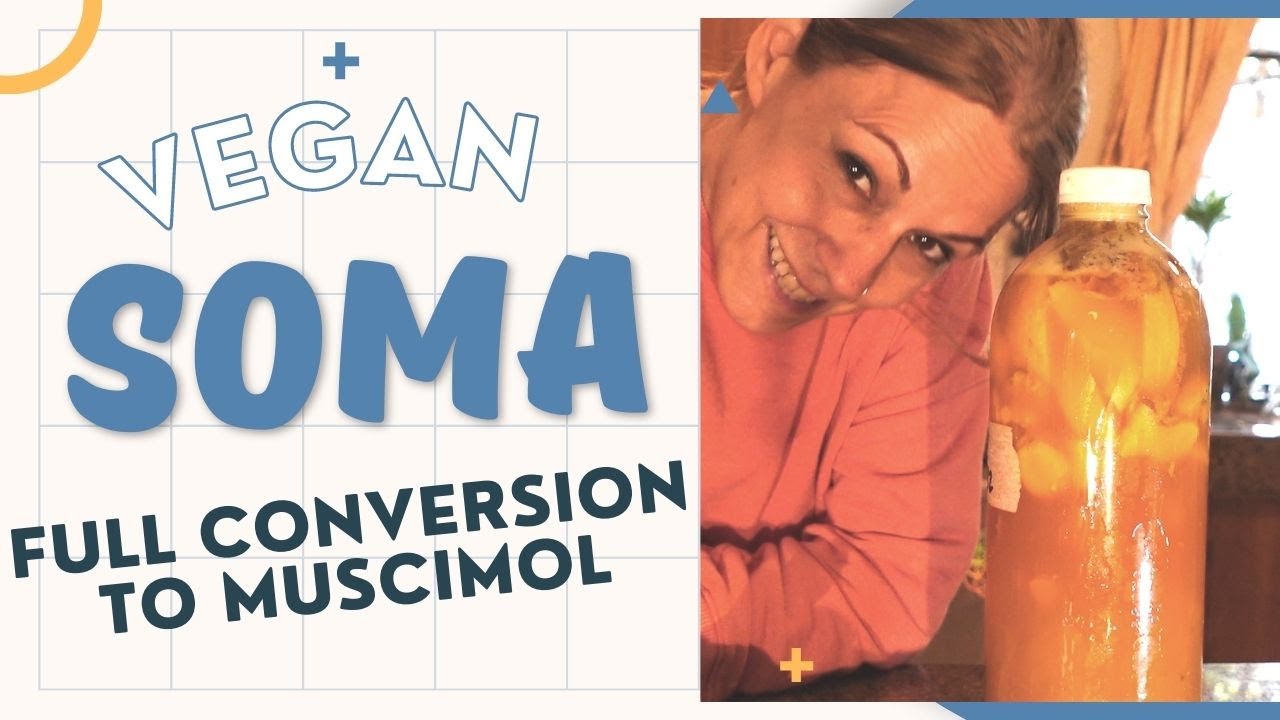 Full Muscimol Conversion Fermentation