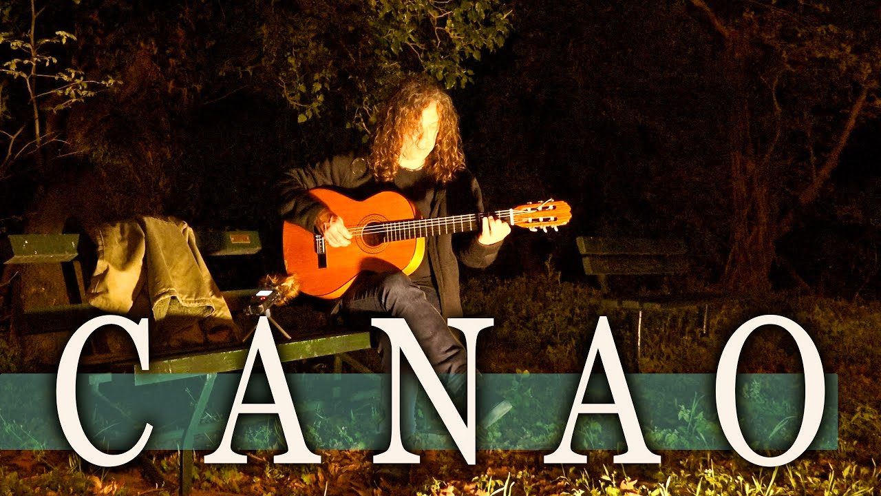 RELAXING EARTH MUSIC - Acoustic Guitar and Nightingale into the Night - CANAO Music