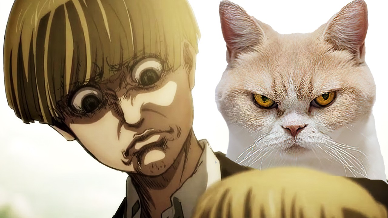 DISEGNO personaggi ANIME sopra ai GATTI