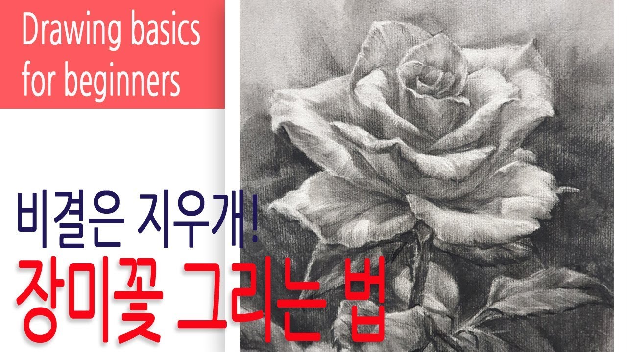 미술수업공개 / 쉽게 장미 그리는 법 - 비결은 지우개! /기초드로잉
