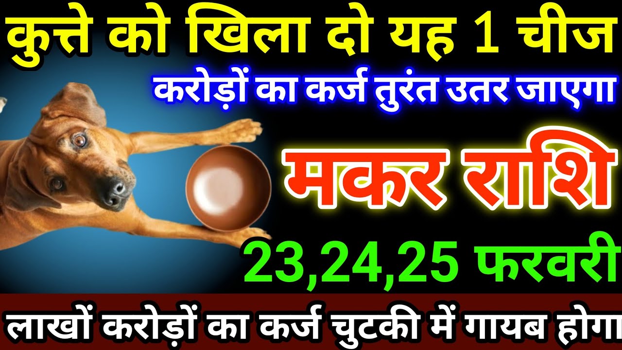 मकर राशि 23,24,25 फरवरी कुत्ते को खिला दो यह 1 चीज, करोड़ों का कर्ज तुरंत उतर जाएगा #makarrashi