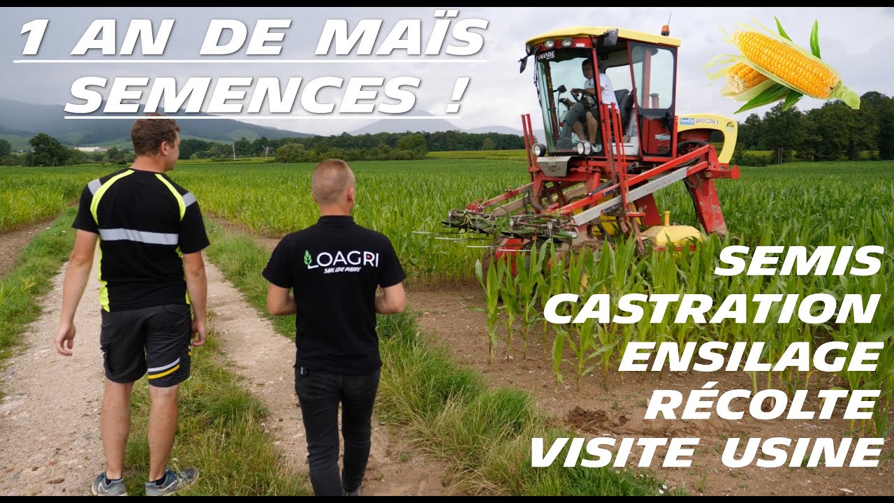 😎 JE découvre la CULTURE DE MAÏS SEMENCES 🌽 : une année complète [ le FILM ] 🎬