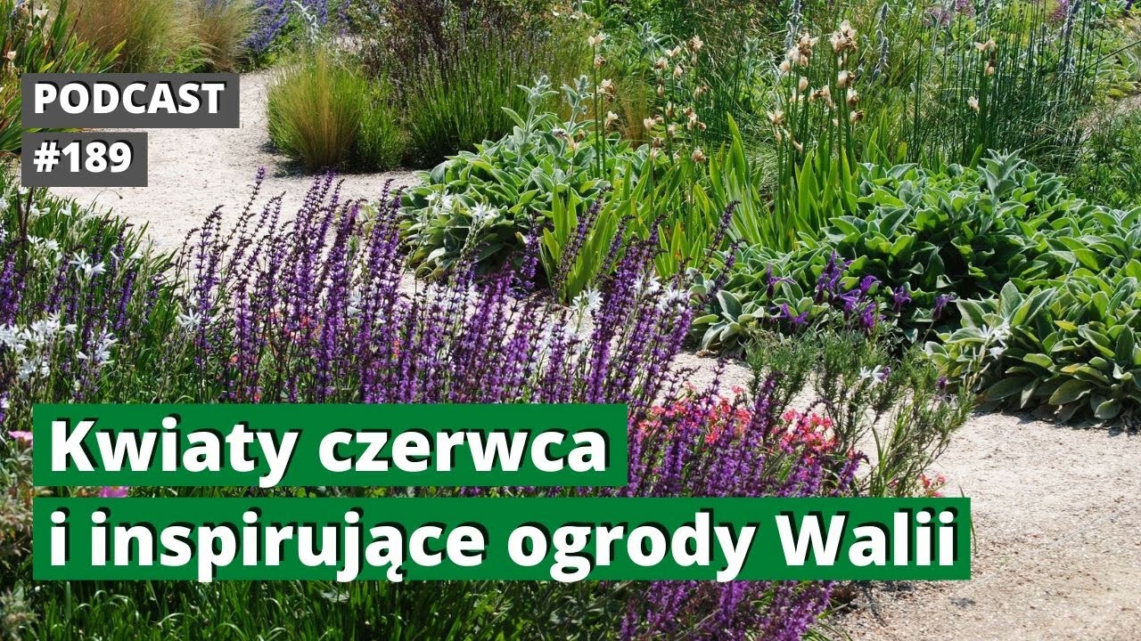 189. Kwiaty czerwca i inspirujące ogrody Walii