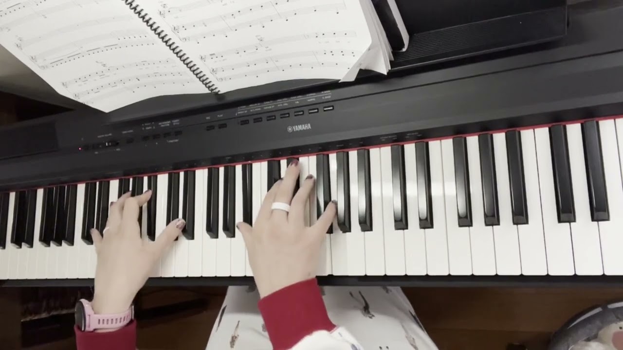 I Did Something Bad by Taylor Swift: Piano Cover by Hope Rust