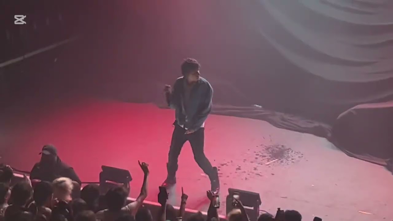 2hollis star tour in Vancouver with Nate sib & Romulus. footage from the moshpit,barricade & Balcany