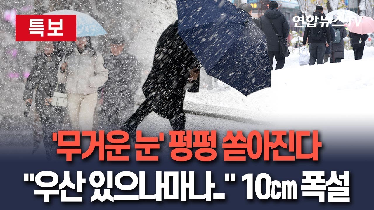 [🔴특보] 우산 부러지는 무거운 눈 10㎝ 쌓인다&hellip;대설특보 발령｜