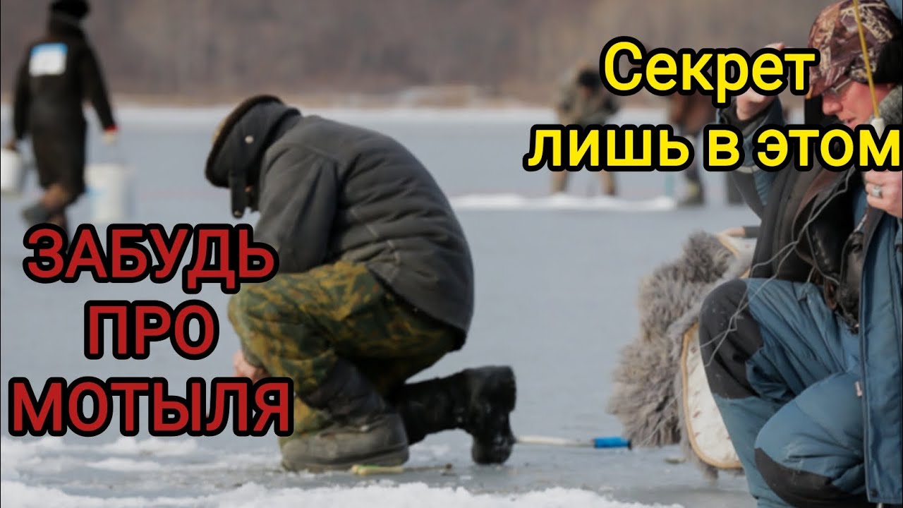 ДОБАВЬ ЭТУ ПРИМАНКУ ИЛИ НАСАДКУ В СВОЙ АРСЕНАЛ И ТЫ ЗАБУДЕШЬ ПРО МОТЫЛЯ С ОПАРЫШЕМ...