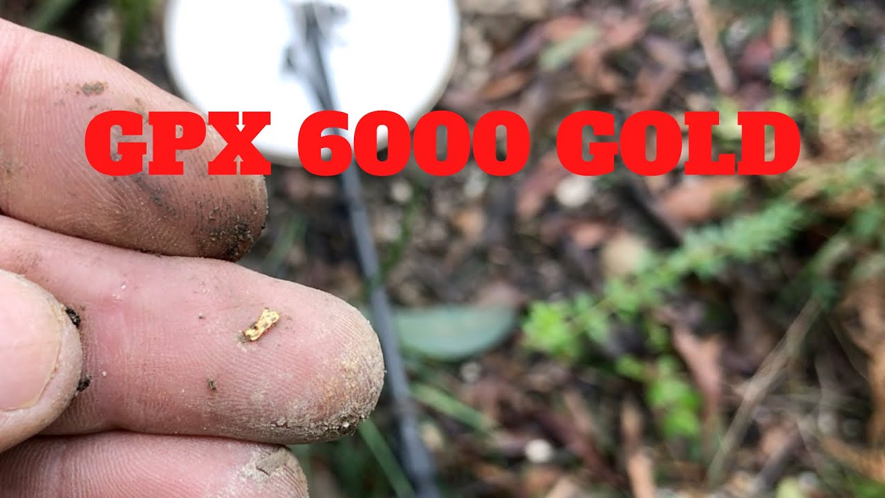 Chasing small gold with the GPX 6000 @ Les Gold