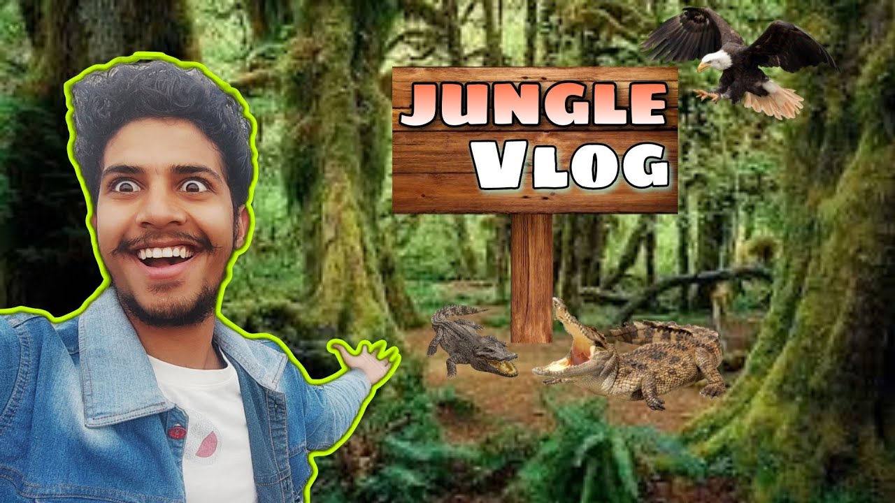 FOREST VLOG 🐊🏞️ | CM RISE FATHEGARH | CAPTAIN SD | #forestvlogs