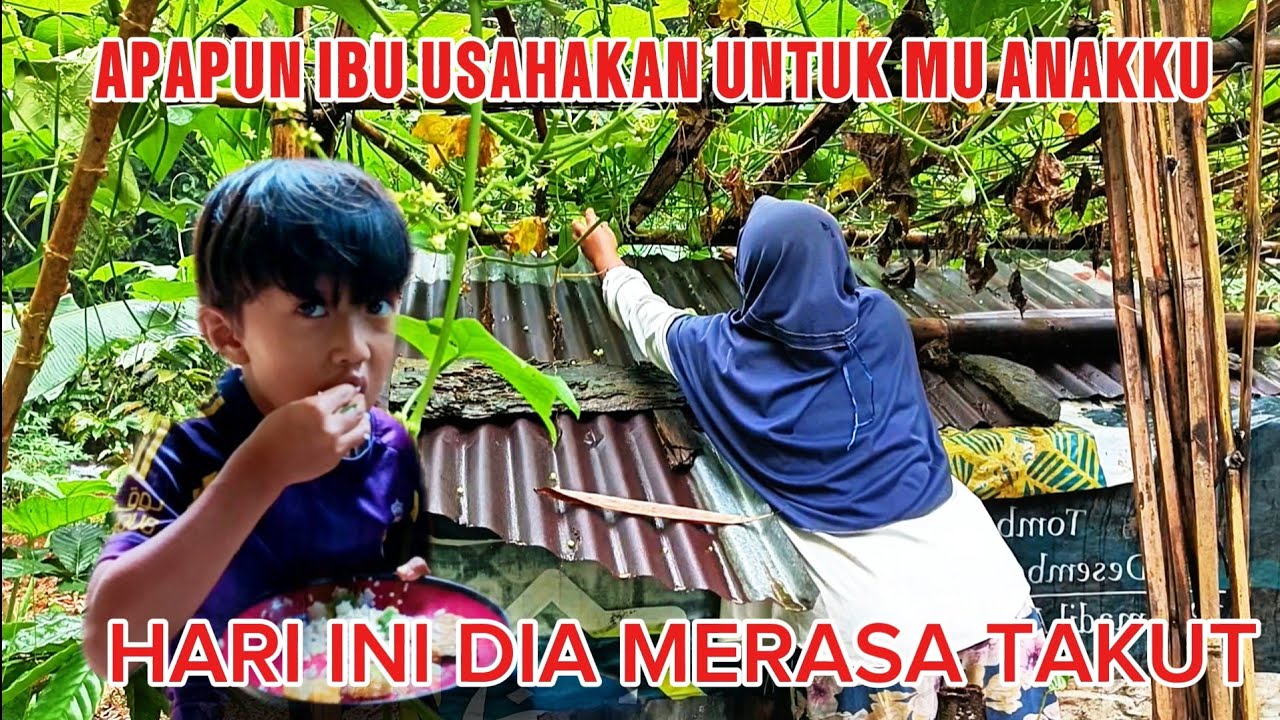 Musim hujan deras. Berpotensi banjir dan longsor. Khawatir ular datang lagi. 
