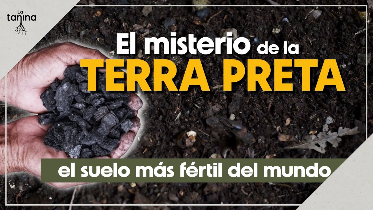 El secreto de la ABUNDANCIA: Aprender de nuestros ANCESTROS.🏵️