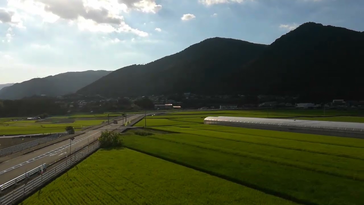よしのがわ