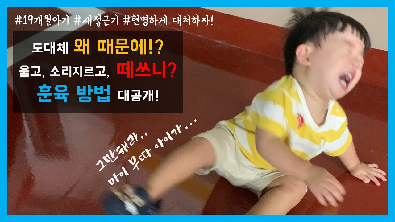 [육아]재접근기 떼쓰는 아기 대처방법 / 떼쓰는 이유가 있다?