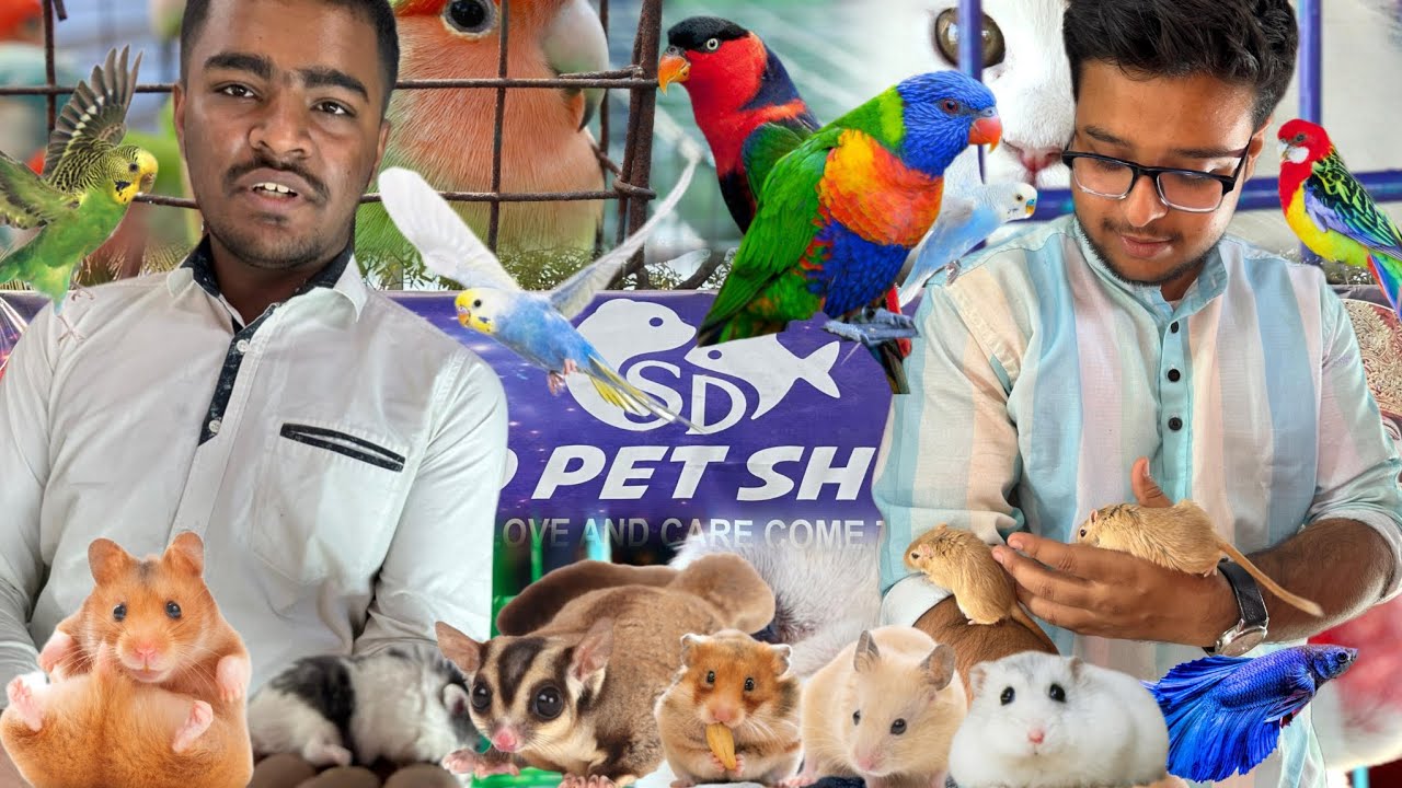পশ্চিমবঙ্গের সবচেয়ে জনপ্রিয় রোডেন্ট সপ্ 🐹🐰🐭|| popular pet shop in West Bengal...@sd_pet_shop 