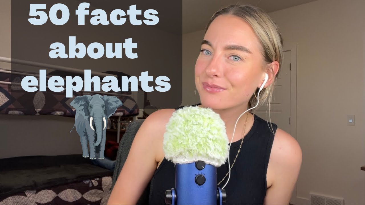 ASMR 🐘 50 facts about elephants (whispered for relaxation & comfort)