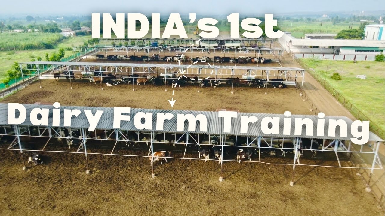 India's 1st Advance Dairy Farming Training Program By SAVANT Dairy Farm