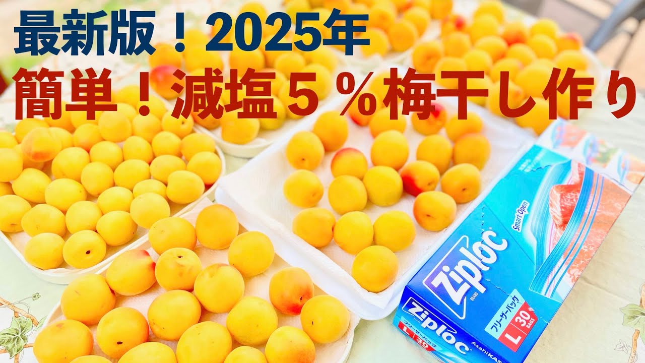 【2025年最新版】減塩梅干しの作り方｜ジップロックで簡単＆安全に梅酢が上がるコツも紹介！