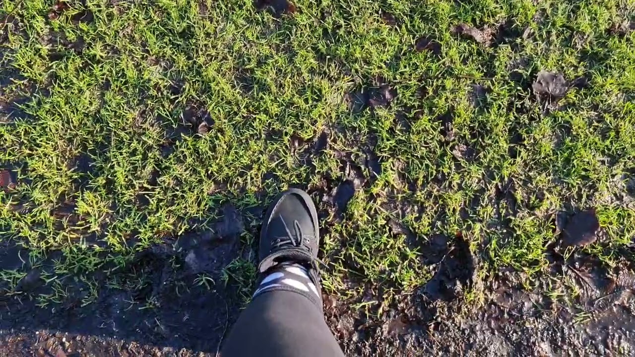 Walking in Sloterpark , Amsterdam