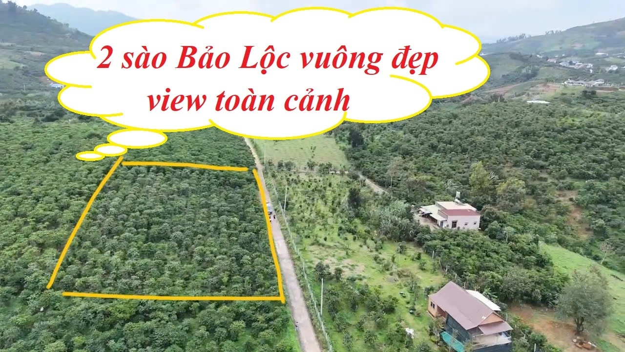 2 sào Bảo Lộc, vuông đẹp, view thoáng, 52m mặt đường