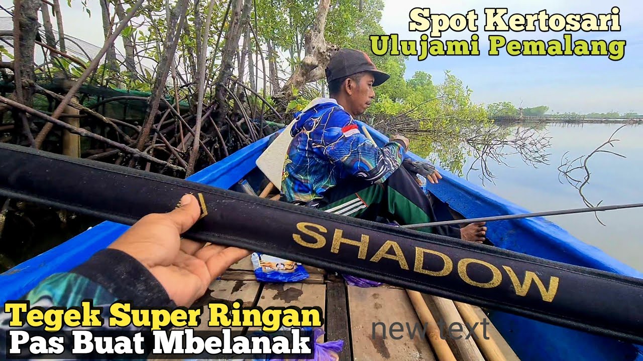 Joran Tegek Yang Pas Buat Mancing Belanak !! Langsung Pakai Tanpa Setting