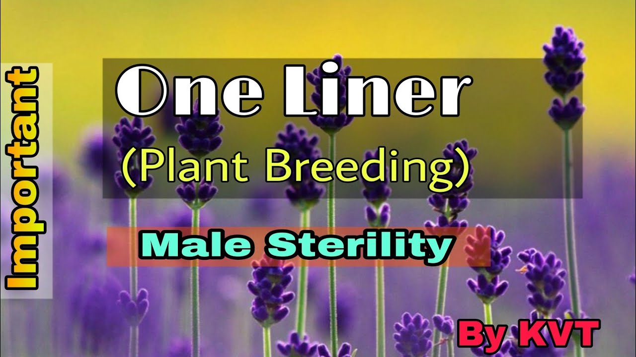 Important Topics about Male Sterility in just 2 minutes || Male Sterility || One Liner || By KVT