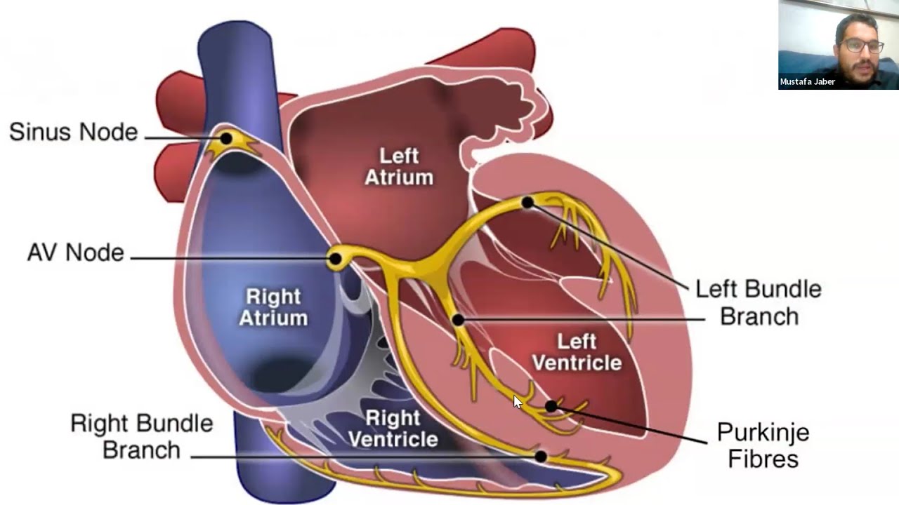 Red Flags in Cardiology
