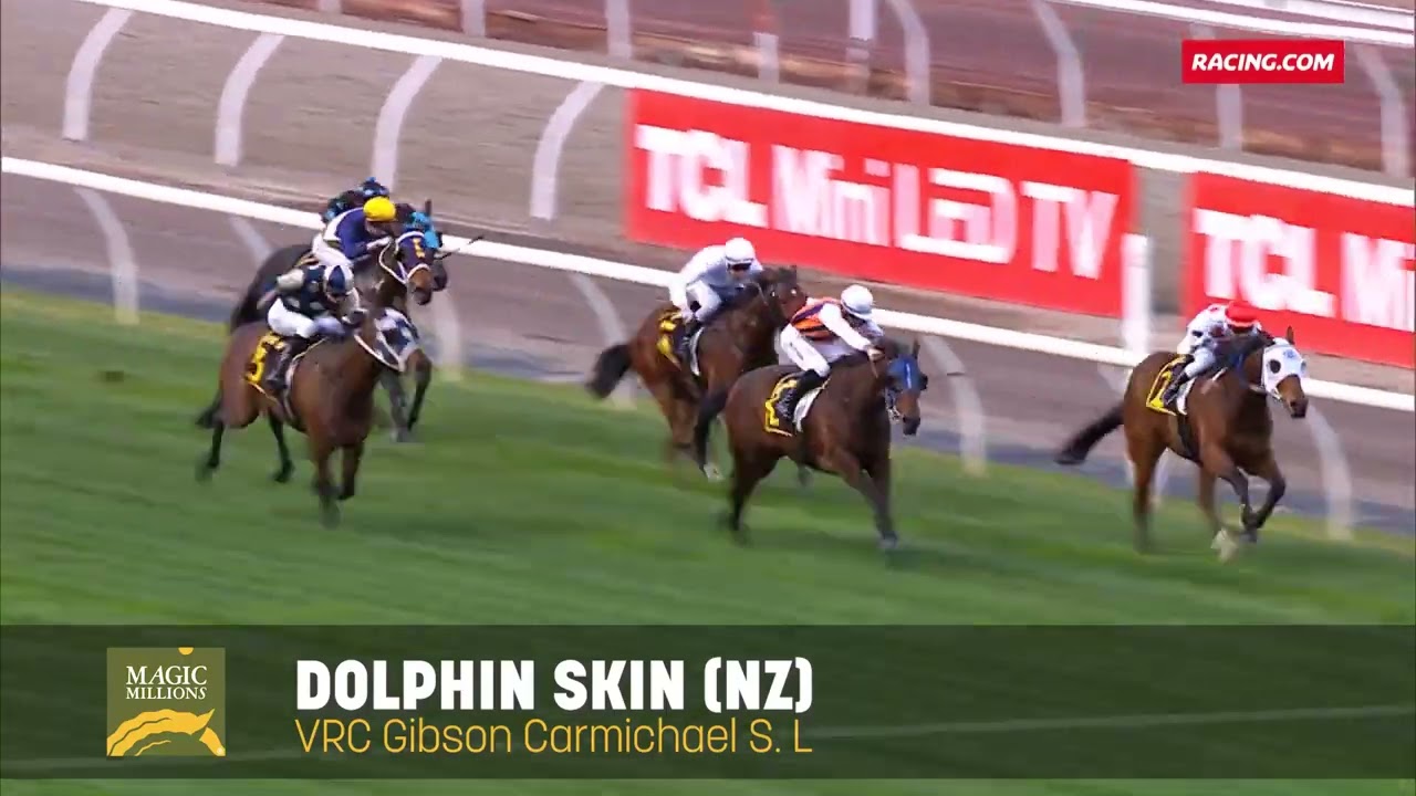 Lot 611 - Dolphin Skin (NZ) - Magic Millions National Broodmare Sale