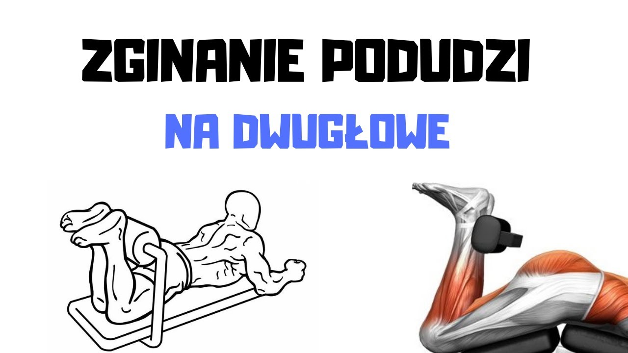 ANATOMIA DWUGŁOWE UDA - ZGINANIE PODUDZI na MASZYNIE w pozycji leżącej