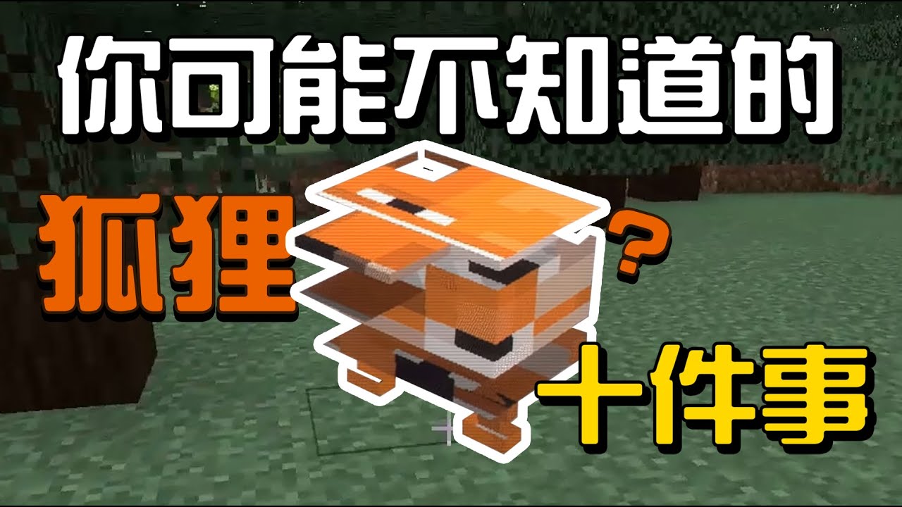 你可能不知道的狐狸10件事!!!【秋風麥塊生物學】