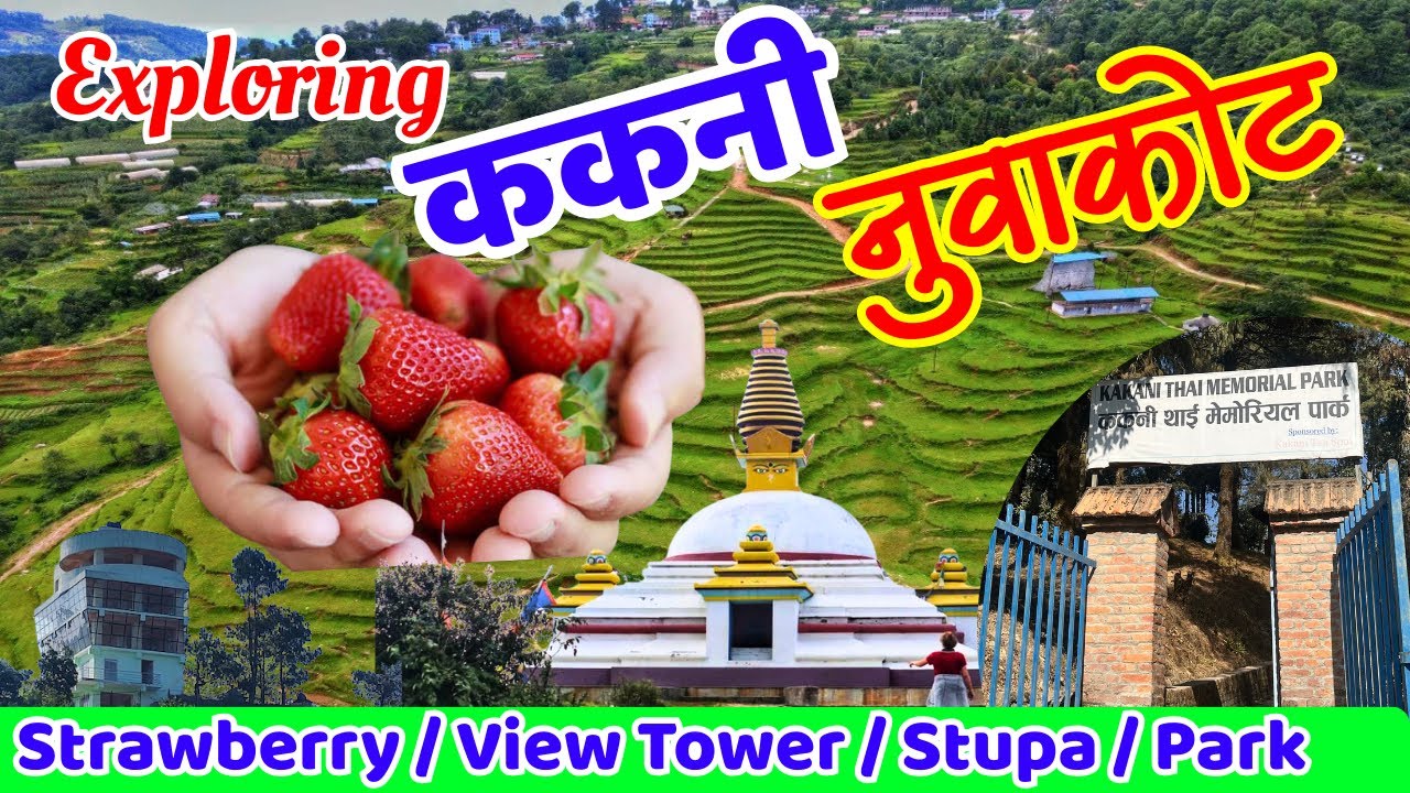 Exploring Kakani Nuwakot | ककनी नुवाकोट । Thai Memorial Park - View tower - Strawberry farm - Stupa