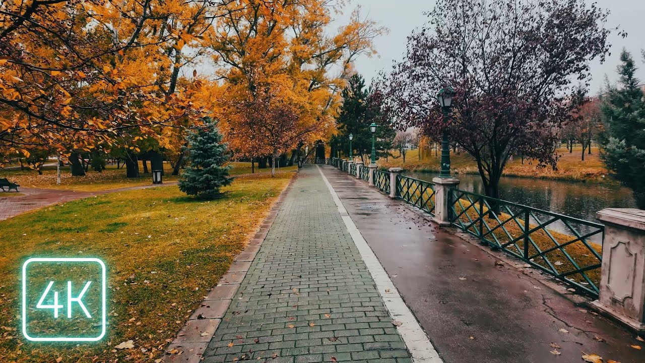 [4K] Rain Walk | Relaxing Park and Street Walk with Autumn Ambience