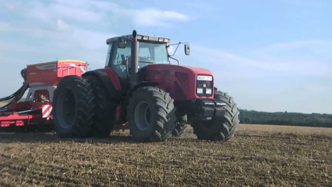 Massey Ferguson 8280 & Steyr 9270 Repce vetés [Raps Ernte] 2013