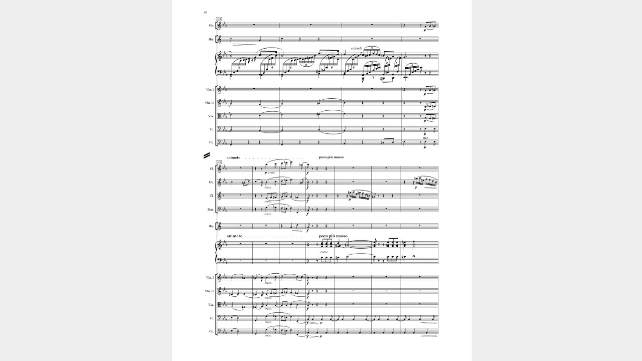 Clara Schumann Piano Concerto "0" - Adagio (mov. ii).