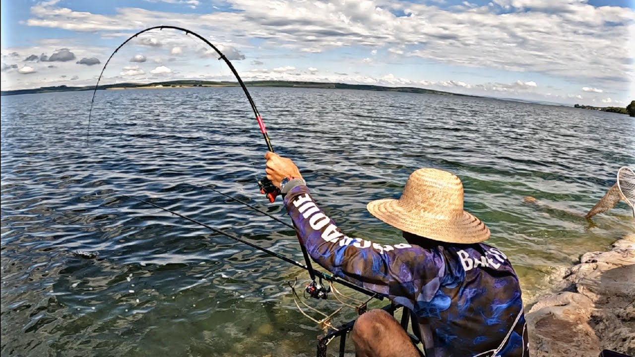 SE FOR QUERER PESCAR ESSE PEIXE VOLTA COM O SAMBURÁ LOTADO!! #fishing