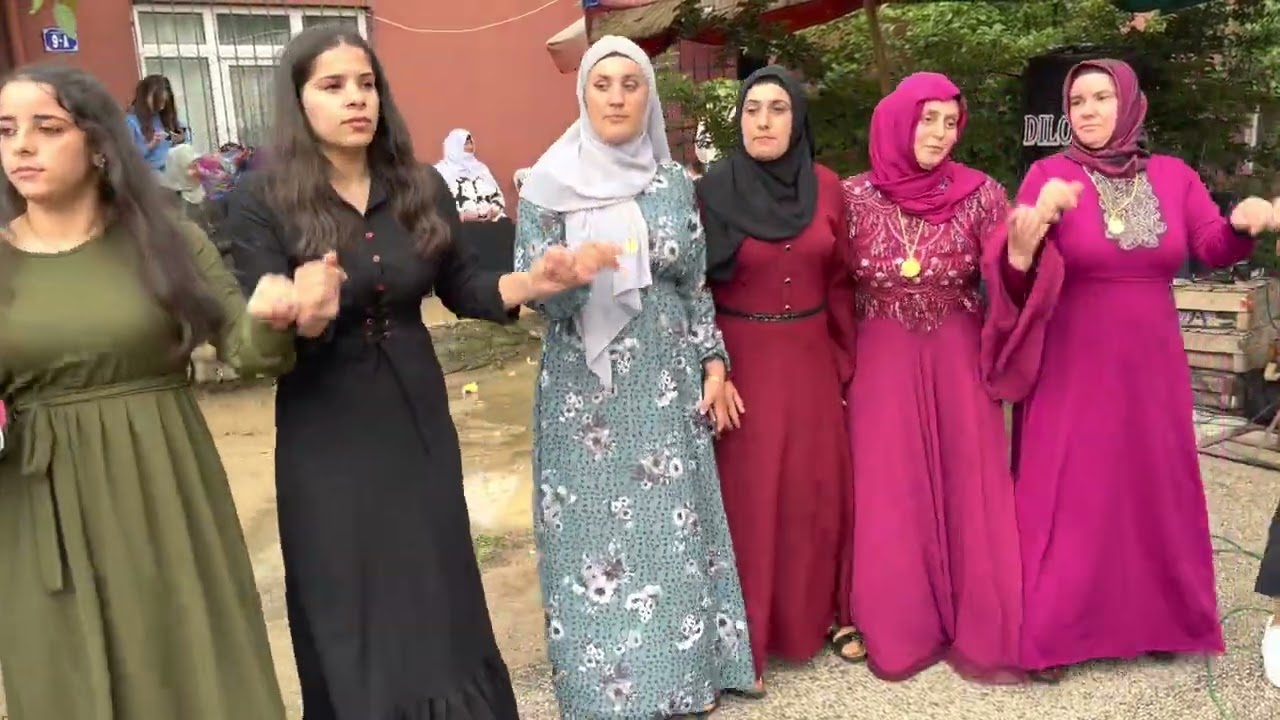 KIBRISKÖY ANKARA DİLOVAN MÜZİK 2022