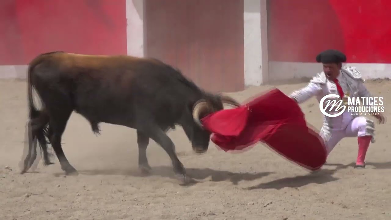 PINCAHUACHO 2023 