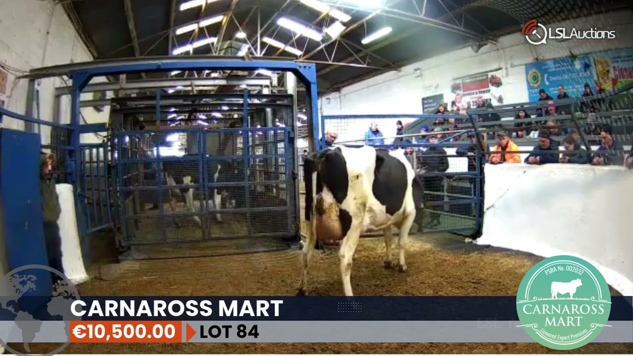 Carnaross Mart 14 March 2026