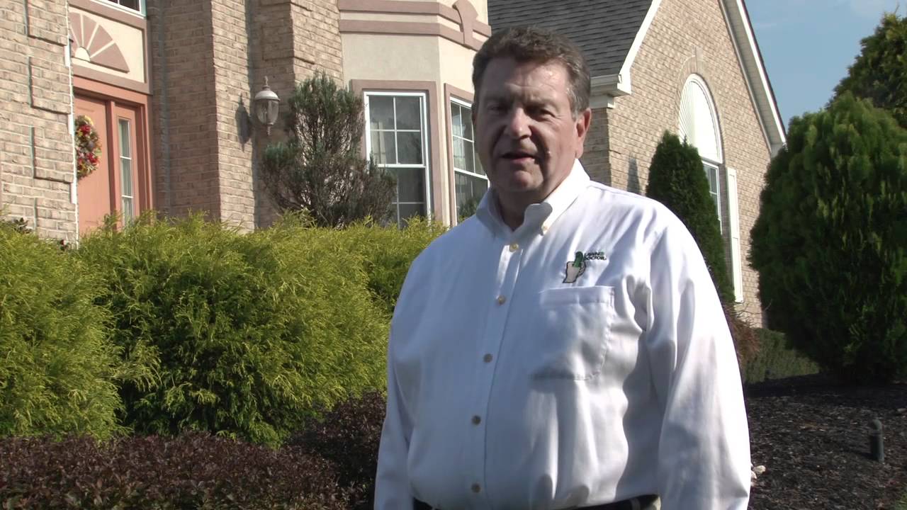 Tree & Shrub Care