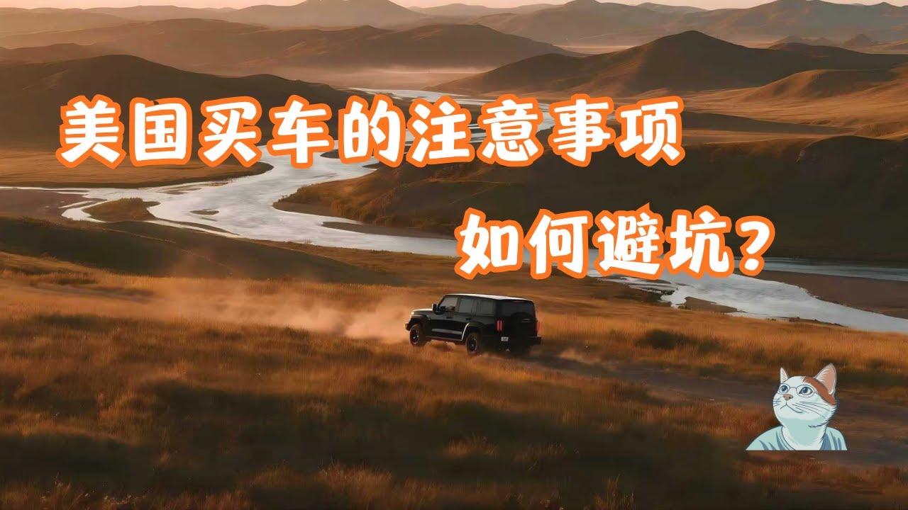 如何在美国买车避坑？｜在美国买车的诀窍｜买二手车如何做功课？