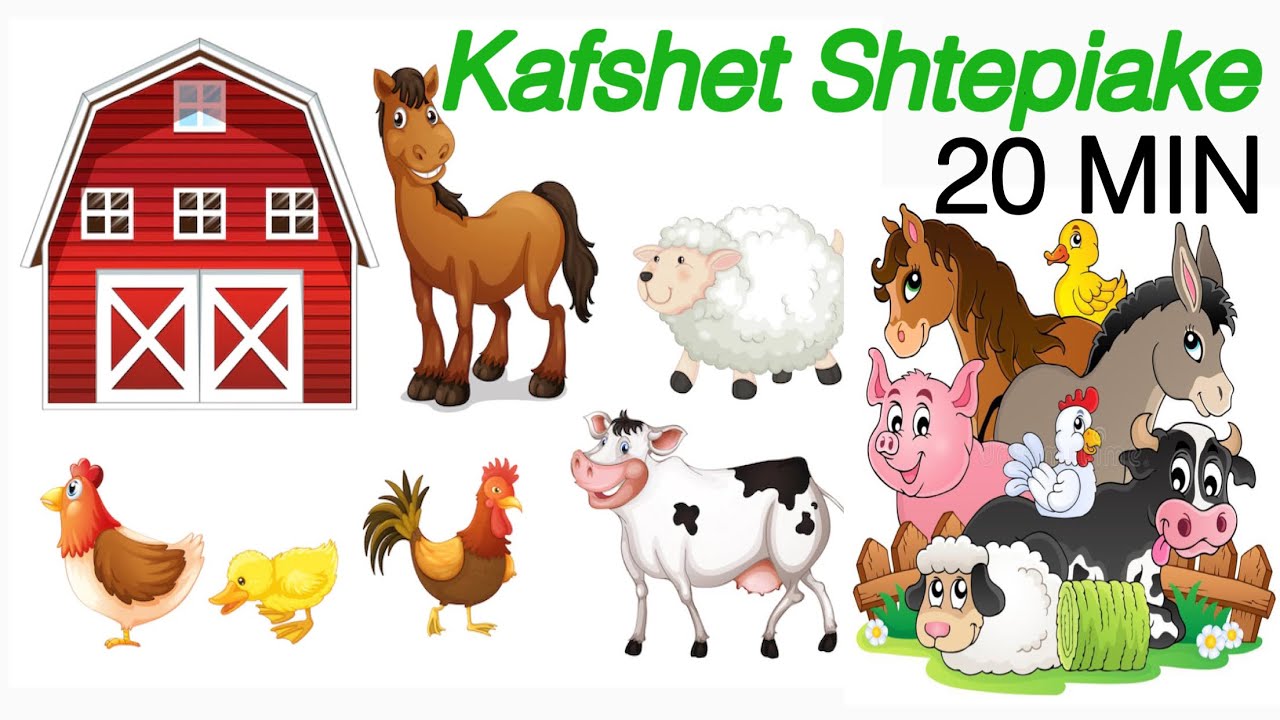 Kafshet.Mesojme dhe Flasim per Kafshet Shtepiake.Kafshet e Fermes,Tingujt,Fakte dhe Lexojme.
