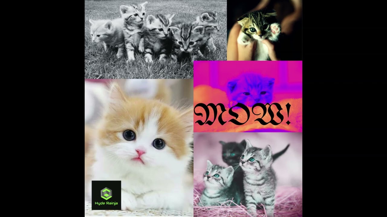 Hyde Rainja - Mow!