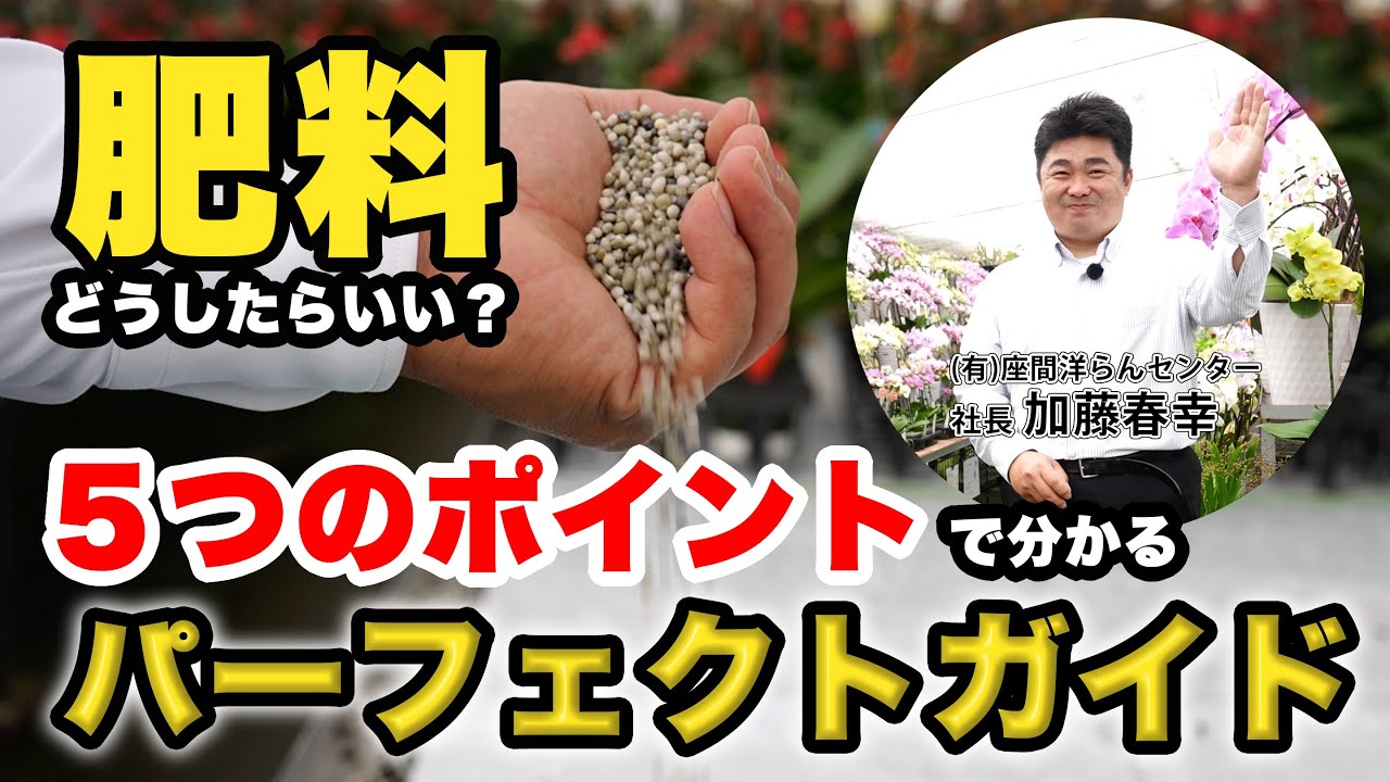 【肥料はこう使う！】あなたのお悩み解決！胡蝶蘭、肥料の基本パーフェクトガイド！【#6】