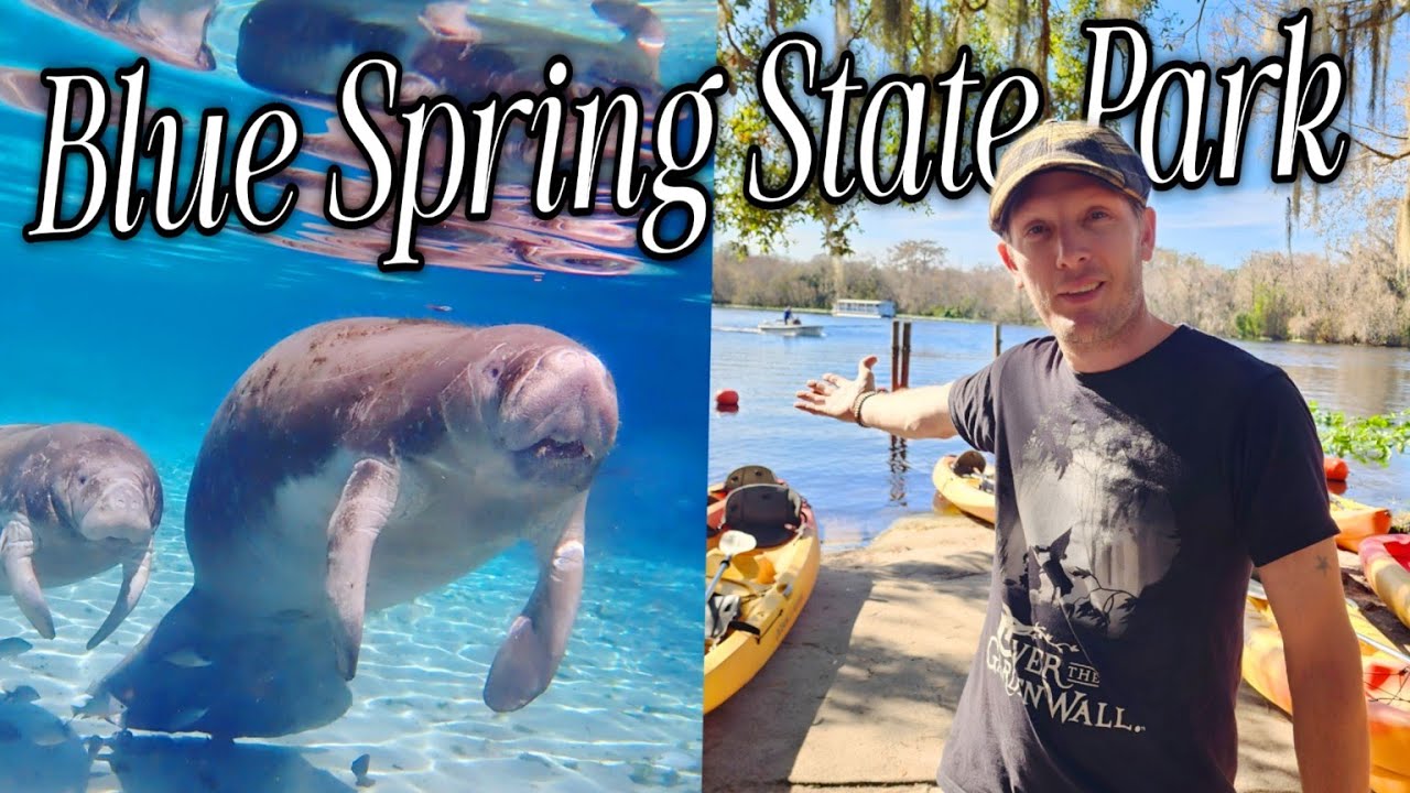 Exploring Blue Spring State Park: Canoeing with Manatees in Florida!