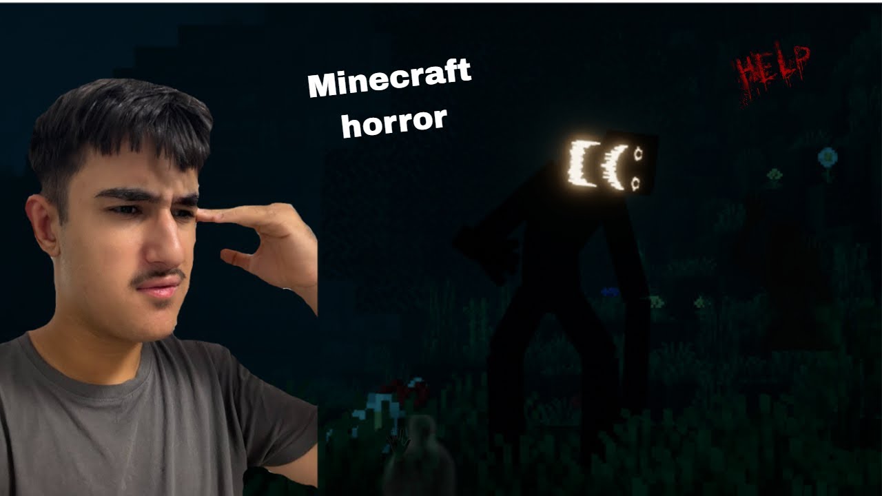 1 Tag im Minecraft VR (mit horror mods) Reaction