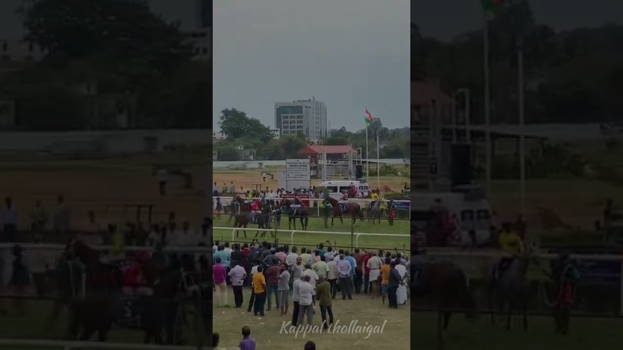 2 lakhs for Horse Race?😱 #guindy #racecourse #horseracing #jockey#shorts