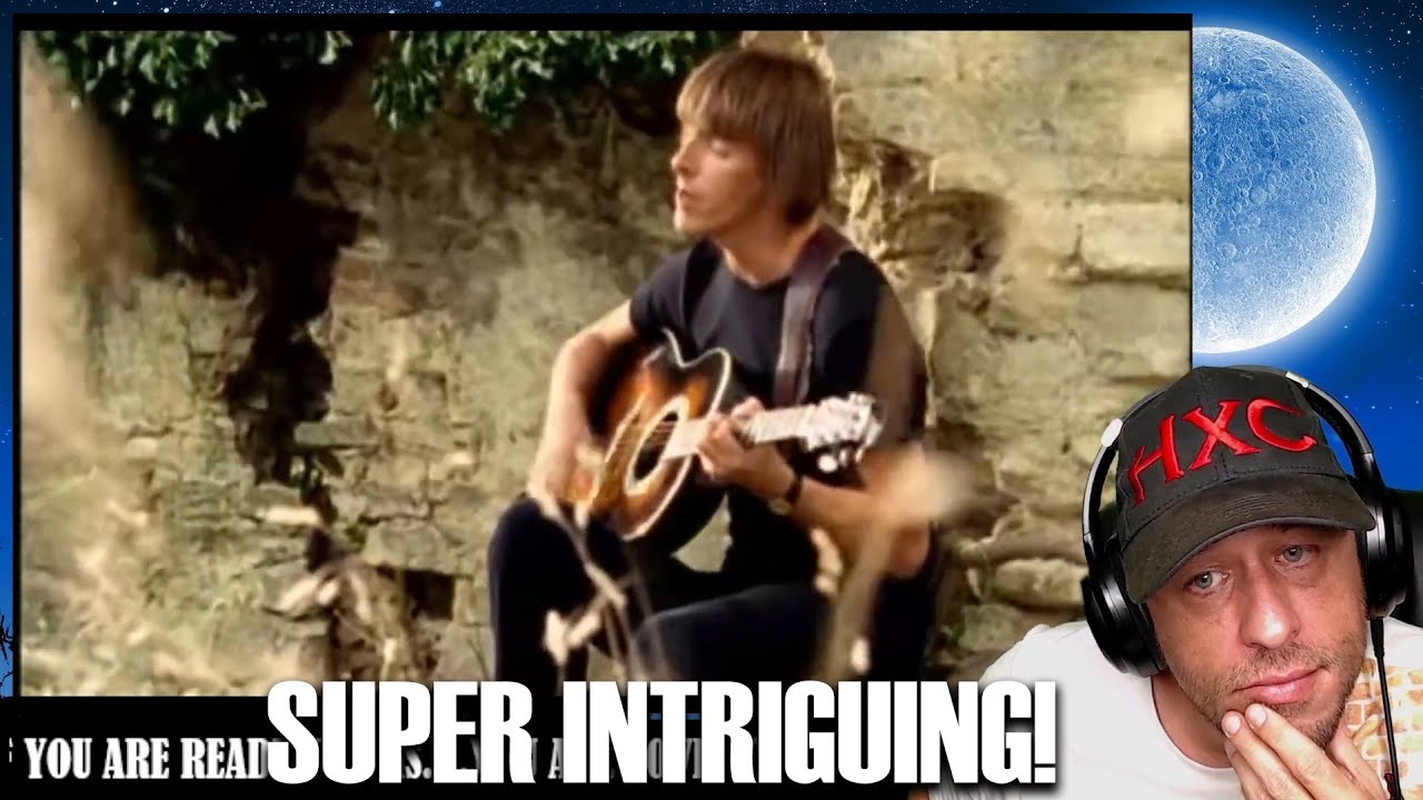 Paul Weller Wild Wood Reaction!