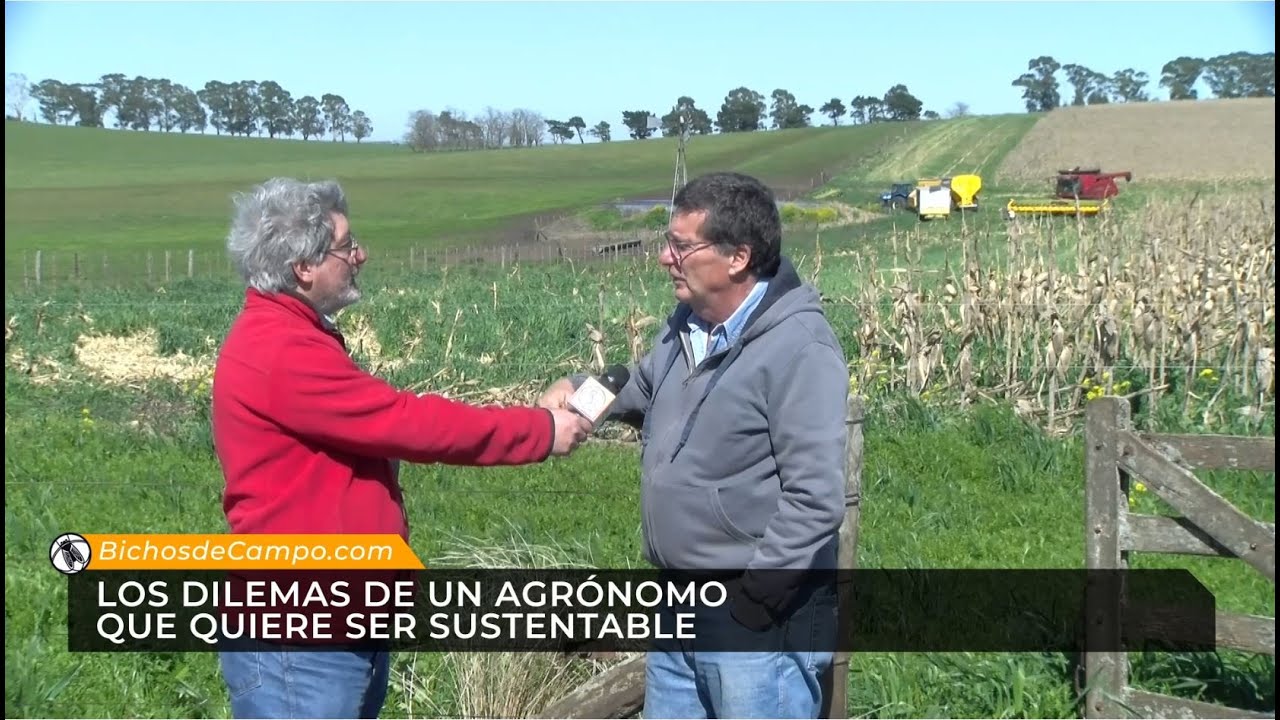 Los dilemas de un agrónomo que quiere ser sustentable - 9/10/2021