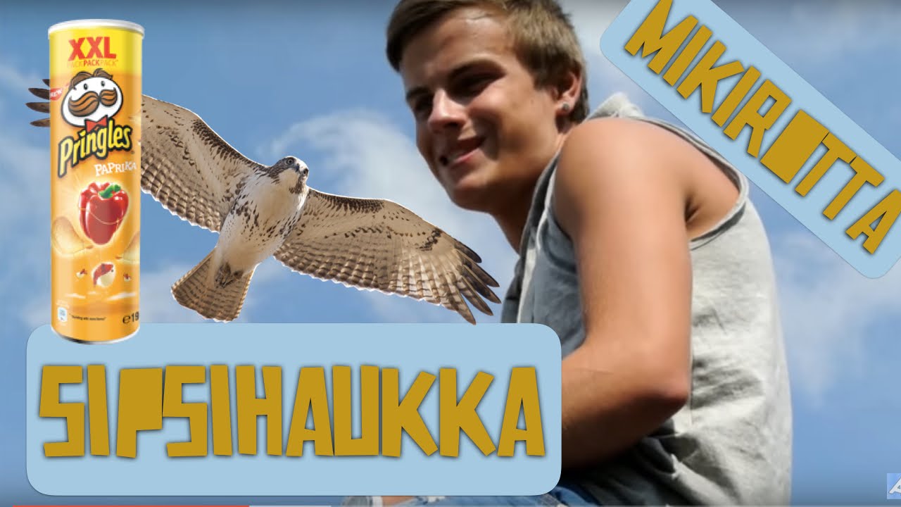 THE SIPSIHAUKKA