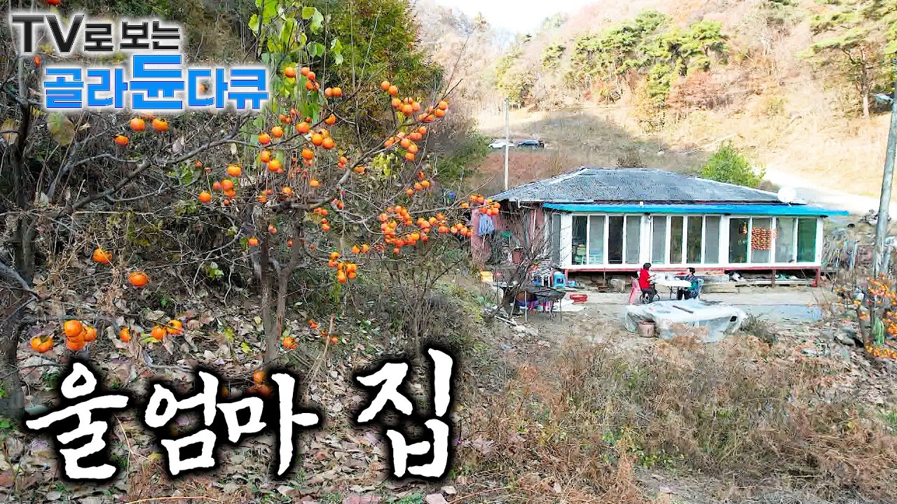 🍚 쉬지 않고 일하던 엄마의 등. 변치 않는 손맛 담은 엄마 밥상🍚｜언제나 따듯하고 푸짐하게집밥 1시간 몰아보기｜한국기행｜#tv로보는골라듄다큐
