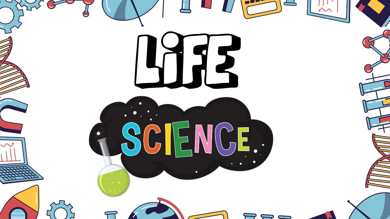 Life Science Explained | A Quick 4-Minute Introduction